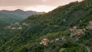 Scopri di più sull'articolo Weekend alla ricerca di Funghi in Liguria